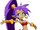 Shantae