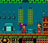 Inside the shop of Water Town