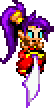 Pc shantae scimitar