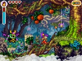 ShantaeRR ss - ds threelayerforest