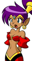 Shantae normal hires