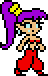 Gbc shantae idle