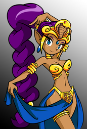 Shantae Costumes | Shantae Wiki | Fandom