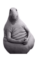 Интернет-Мем