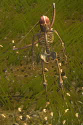 Skeleton Archer