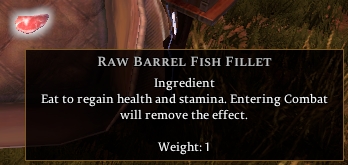 Raw Barrel Fish Fillet