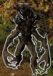 Tree Lord