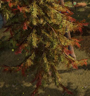 Blightwood Tree.png