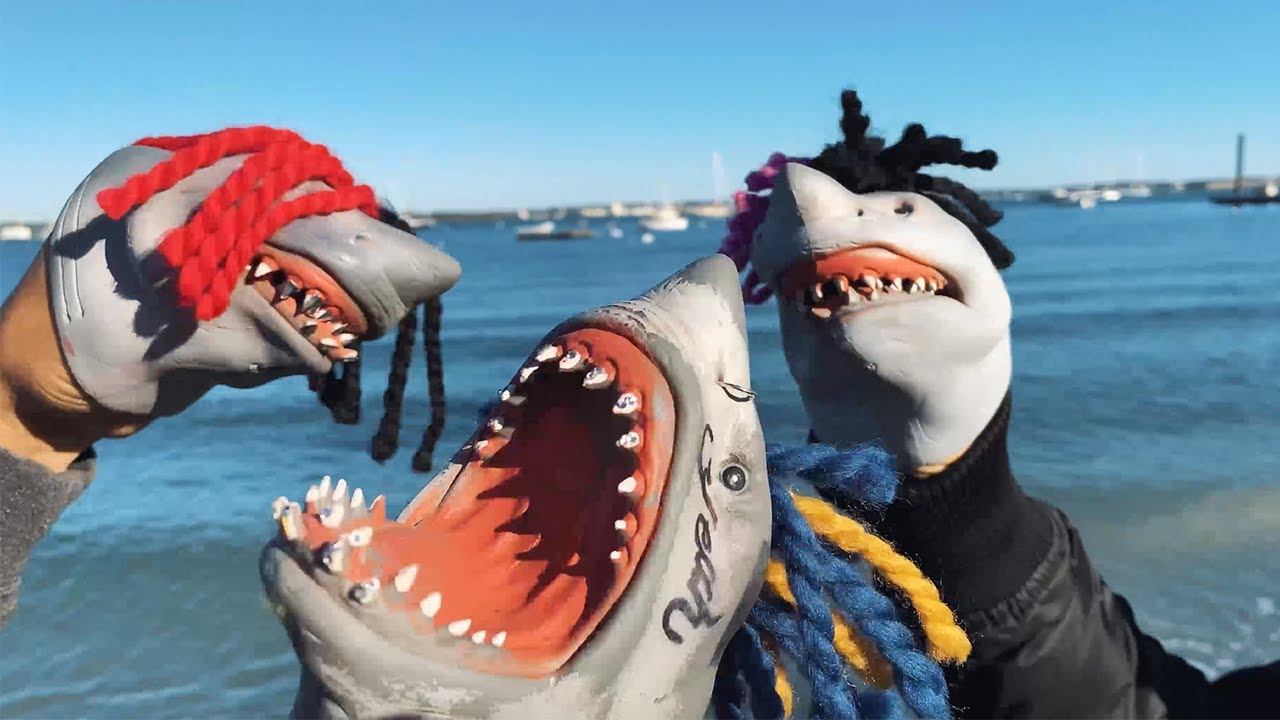 Buckets (Music Video) | Shark Puppet Wiki | Fandom Buckets (Music Video) | Shark Puppet Wiki | Fandom