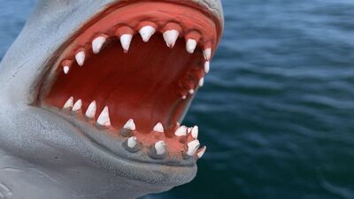 Discuss Everything About Shark Puppet Wiki | Fandom Discuss Everything About Shark Puppet Wiki | Fandom