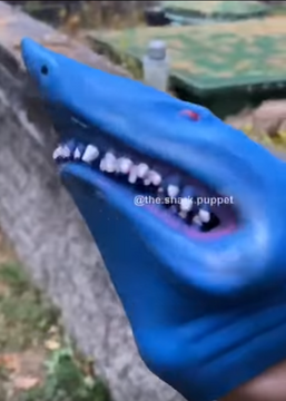 Shark puppet blue outlet