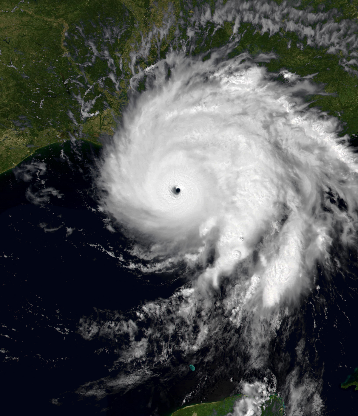Test Shark's Hypothetical Tornadoes Wiki Fandom