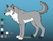 Senwolfform.png (90 KB) Quadrupedal wolf form by Wyndbain's Wolf Maker