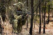 Australian Infantry Battalion .jpg