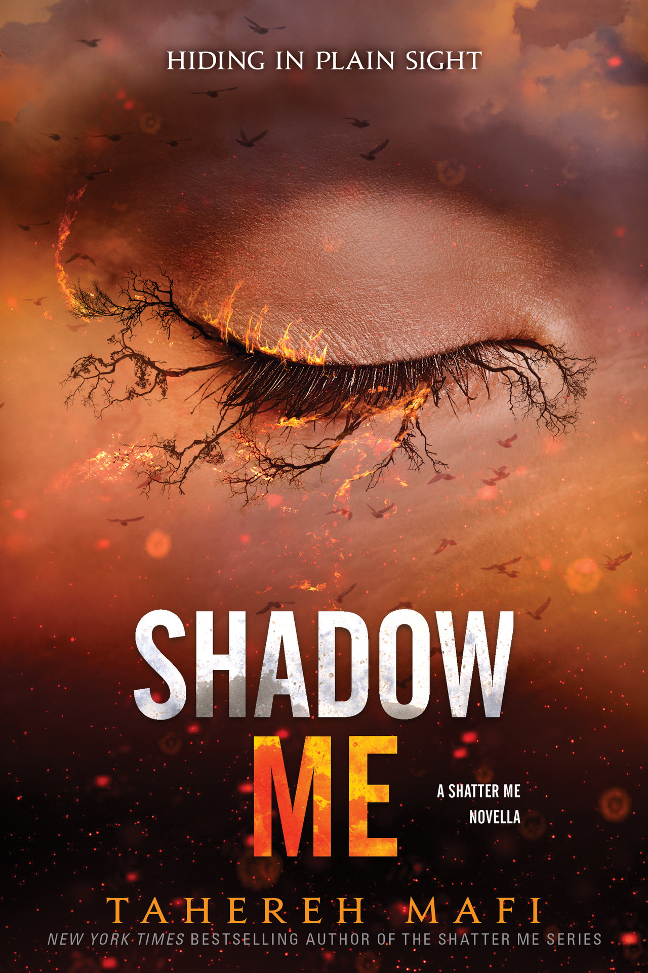 Tahereh Mafi, Shatter Me Wiki