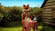 The Fox loses his lunch... again!