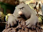 Mole.jpg