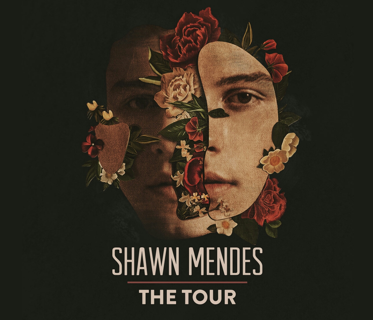 Shawn Mendes Song Posters for Sale