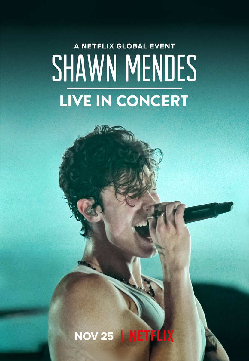 Live In Concert Shawn Mendes Wiki Fandom