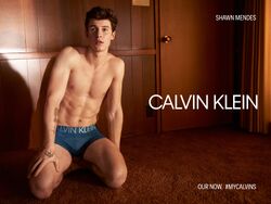 Calvin Klein Gallery Shawn Mendes Wiki Fandom