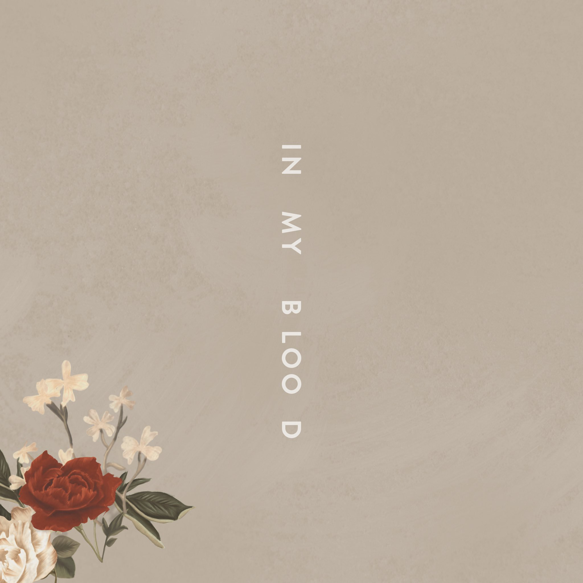 Roses// Shawn Mendes  Shawn mendes songs, Shawn mendes lyrics, Shawn mendes  song lyrics