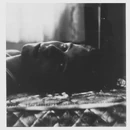 Wonder-gallery (13).jpg (80 KB)