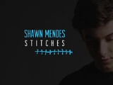 Stitches