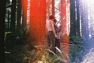 Wonder-gallery (10).jpg (150 KB)