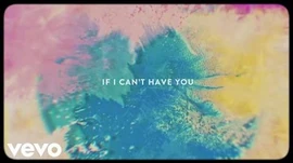 Shawn Mendes - If I Can't Have You (Lyric Video)