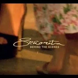 Senorita Shawn Mendes Wiki Fandom It was released on february 26, 2019, as the title track from the group's second ep i made (2019). senorita shawn mendes wiki fandom