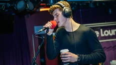 "Stitches", "Mercy", "Here" (Alessia Cara), "Fake Love" (Drake) (2016)