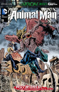 Animal Man Vol 2-13 Cover-1