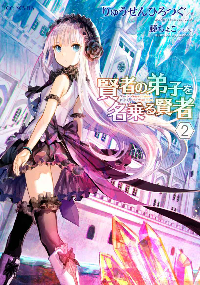 Light Novel Volume 2 | She Professed Herself Pupil of the