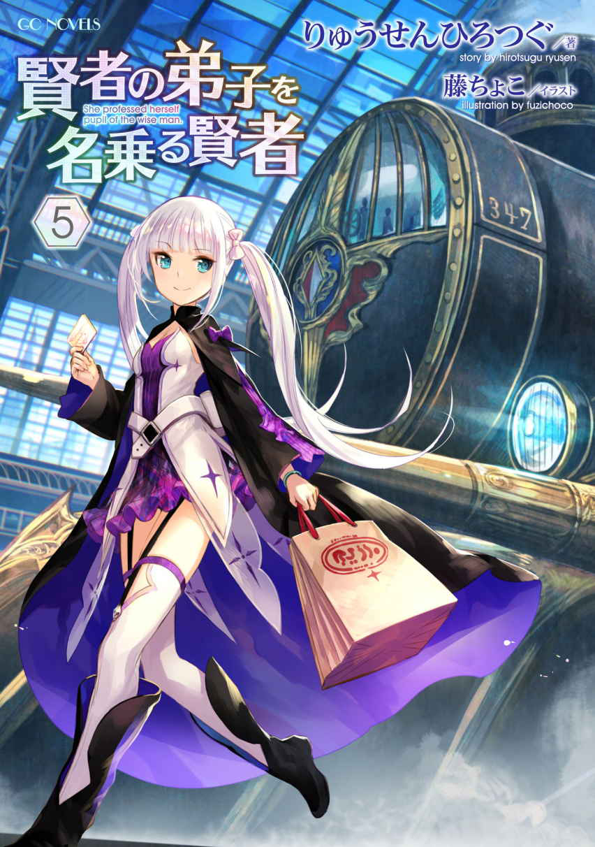 Light Novel Volume 5 | She Professed Herself Pupil of the