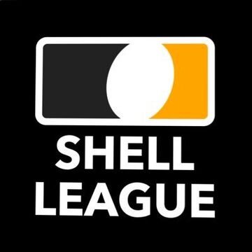Shell Shockers Survey