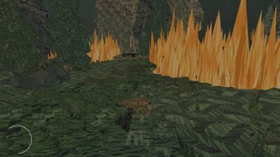 Forest Fire Shelter2.jpg