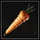 Carrot