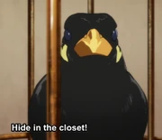 The bird in the anime.