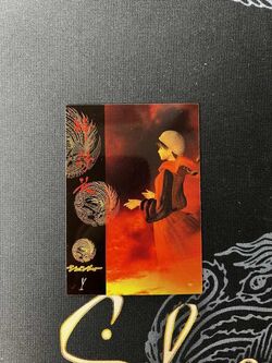 Shenmue Collection Cards | Shenmue Wiki | Fandom