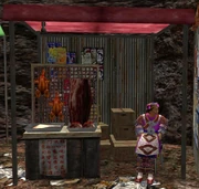 Shen2LSYuanchunCai-00