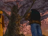 Shenmue tree