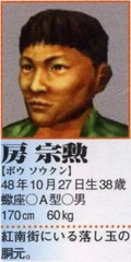 Zongxun's profile in the Shenmue II Perfect Guidebook.
