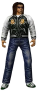 Shenmue Passport Profile Model.