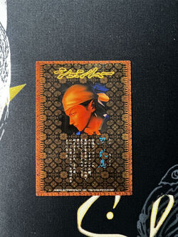 Shenmue Collection Cards | Shenmue Wiki | Fandom