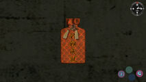 The amulet in inventory.