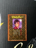 ShenCC Xiuying Hong back.jpg (650 KB) Shenmue Collection Cards Xiuying card (back)