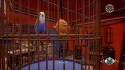 Shen3TheBirdcageCC