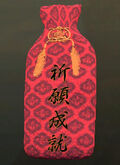 The amulet in inventory.