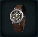 Icon in inventory.