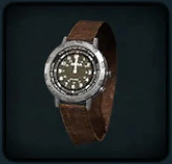 Wristwatch | Shenmue Wiki | Fandom